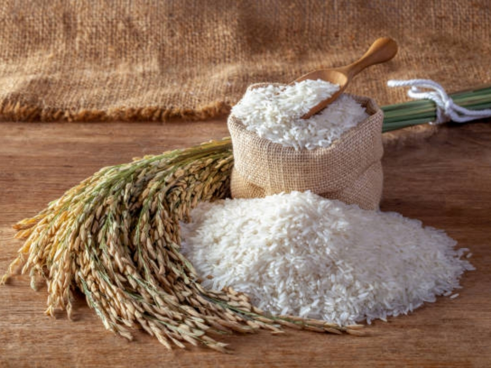 Bảo quản gạo bằng ớt để ngăn chặn mối, mọt